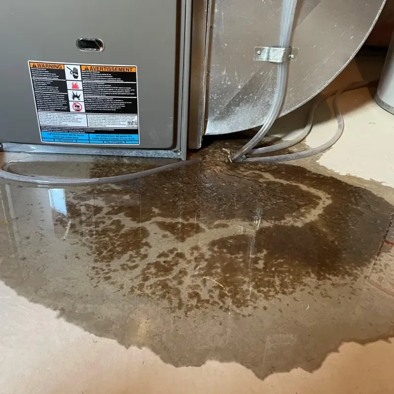 Appliance Leak Cleanup in Agua Fria, NM